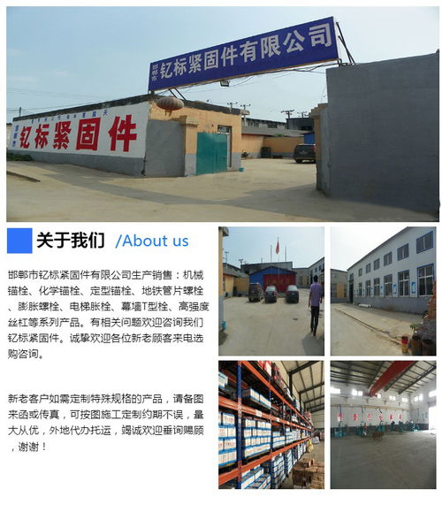 不銹鋼機械錨栓 不銹鋼機械錨栓批發(fā) 釔標